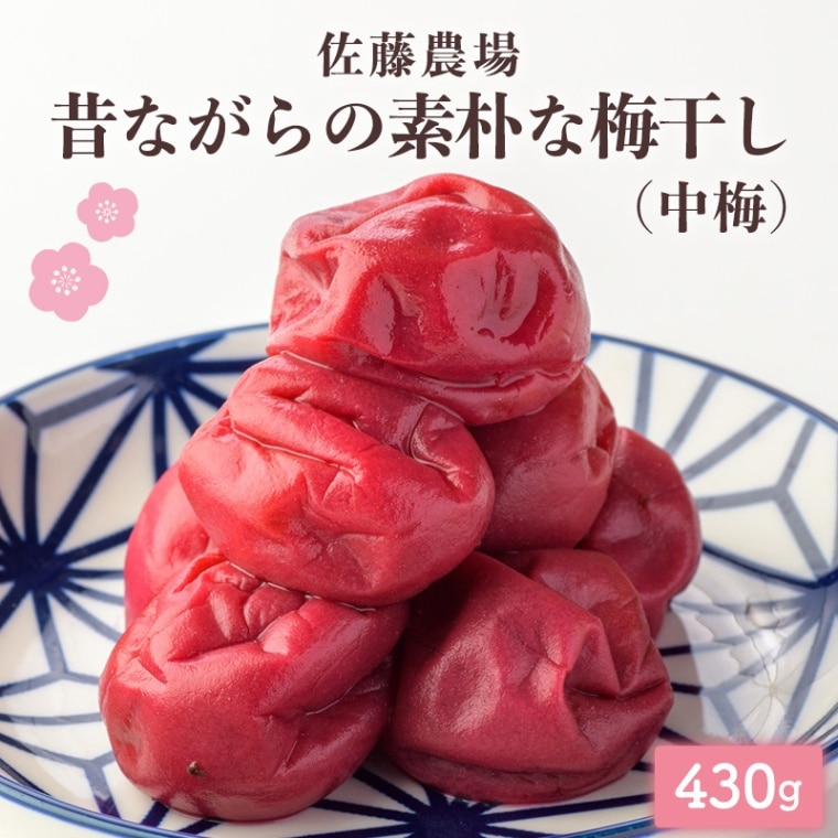 梅干し ふっくり仕上げのほし梅 22g×120個入り(1ケース)