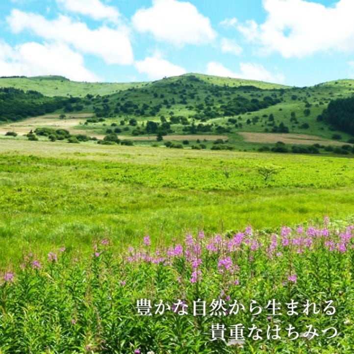 日本蜜蜂ハチミツ百花 300g | 食,はちみつ | あ・ら・伊達な道の駅蜂蜜