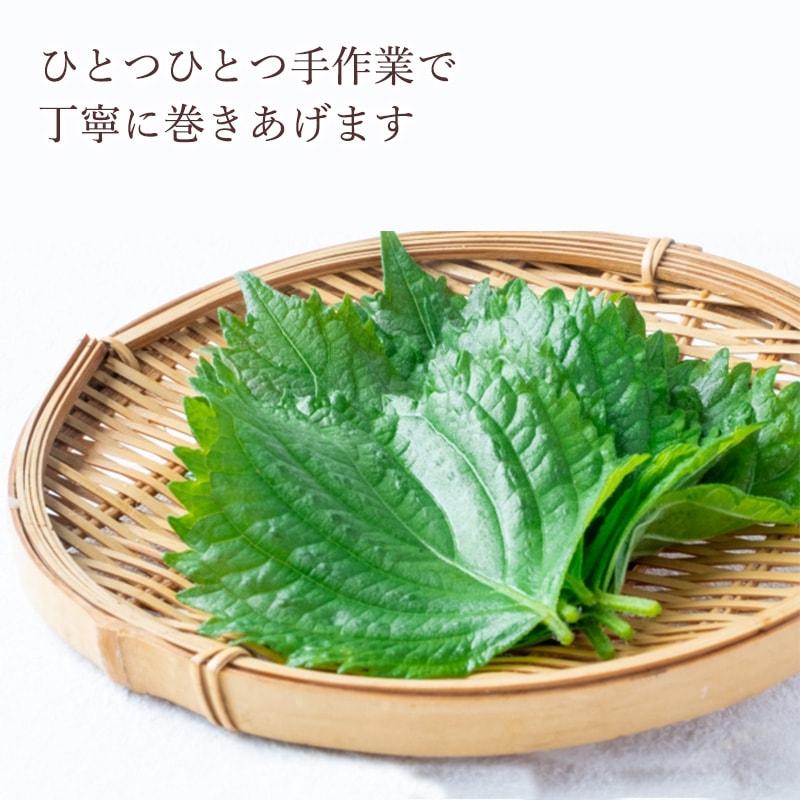 中鉢さんちのしそ巻き Mサイズ | 食 | あ・ら・伊達な道の駅しそ巻き