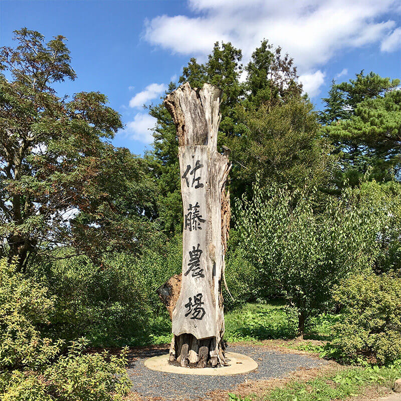 ��л��� ��ƣ������Τʤ�������Ѥ��ߴ��� ���� 950g