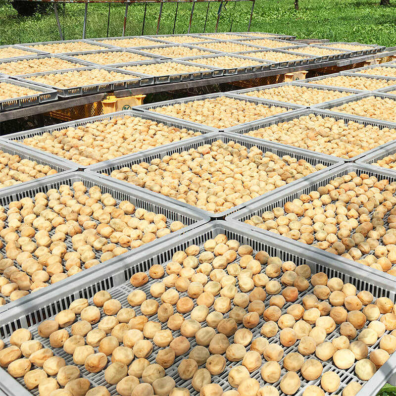 ��л��� ��ƣ������Τʤ�������Ѥ��ߴ��� ���� 950g