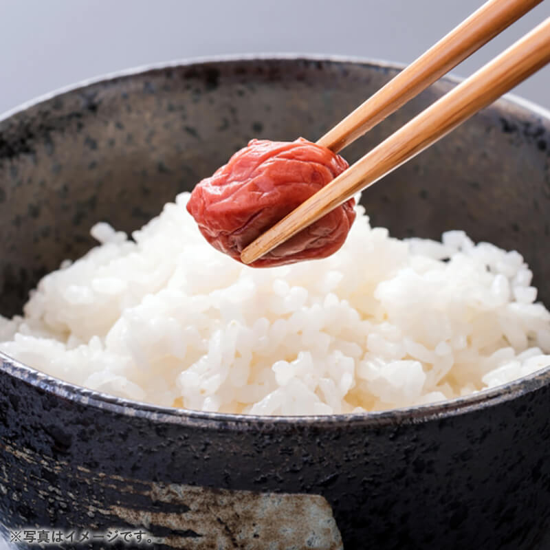 ��л��� ��ƣ������Τʤ�������Ѥ��ߴ��� ���� 950g