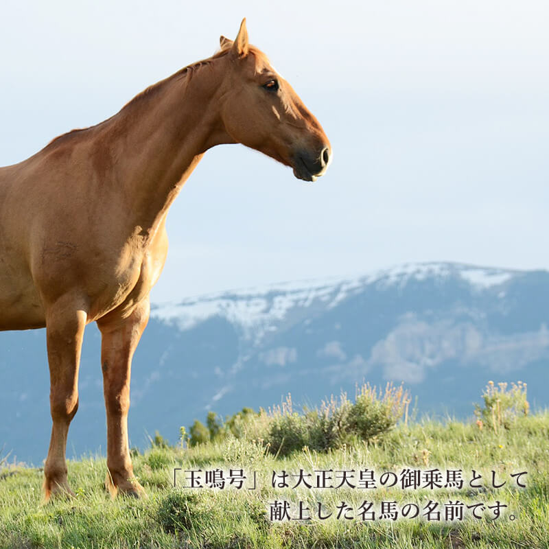 ŷ�����륫�ꥤ�������� �ֶ��Ĺ�ס�24��