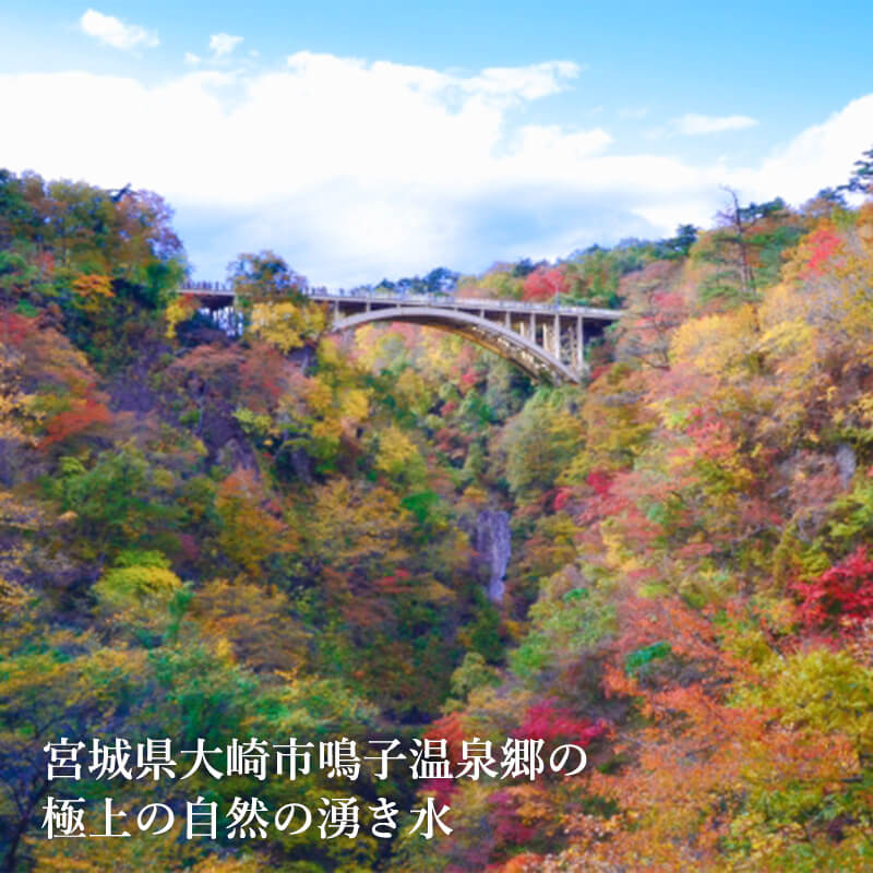 ��ã�ʲ����塡24��