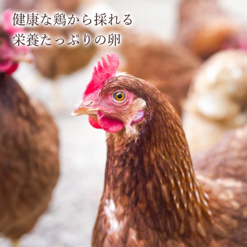 ʿ����ͭ���� �ˤ�ˤ����� 300γ