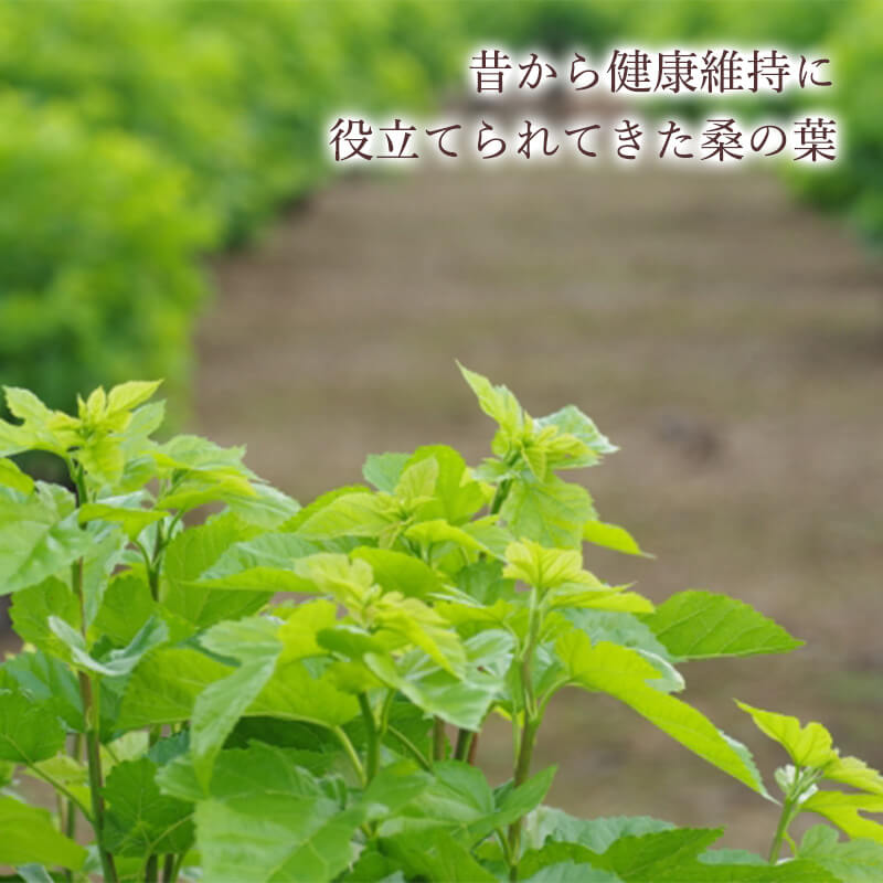 ����ũ�ʤ�������