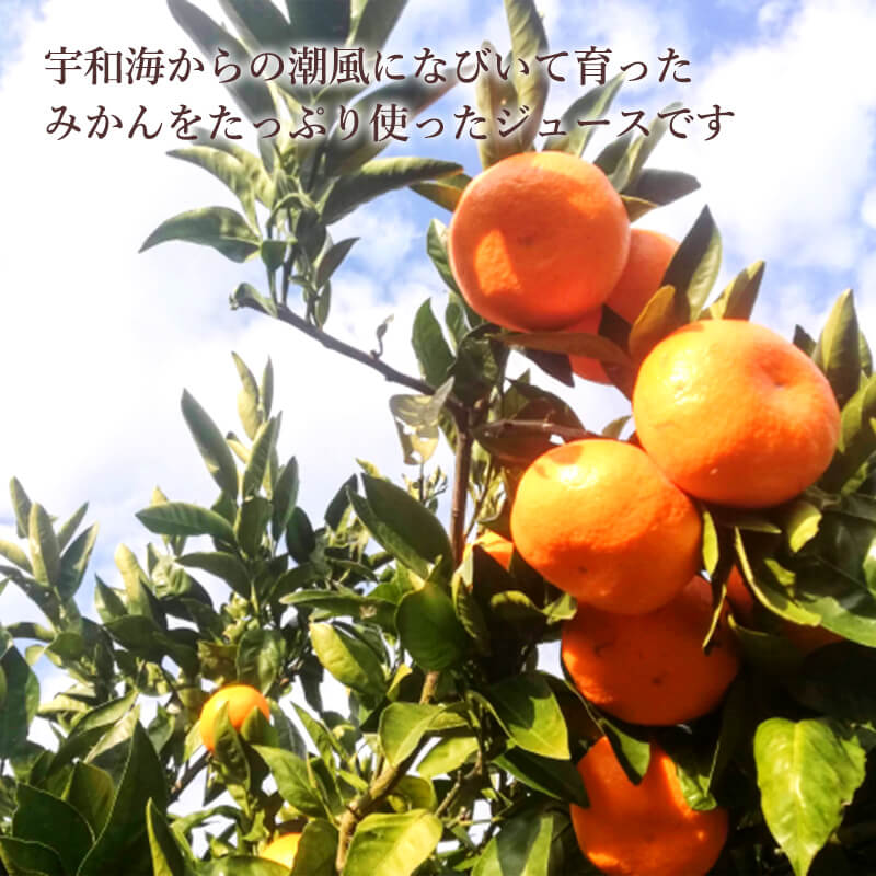 ��ɲ�����̽�100%���ߤ��󥸥塼����5�糧�å�