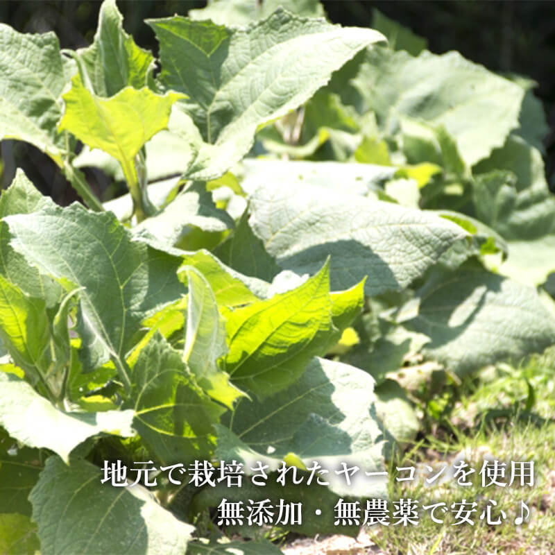 �ܾ���껺 �䡼������ �ư�����