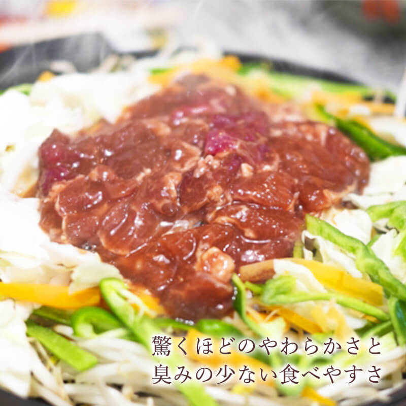 Ȥ󤮤̣ա500gڻԻԾʡ