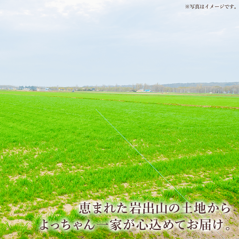 ú�Ƥ���ä���� �ʤ�Ф����