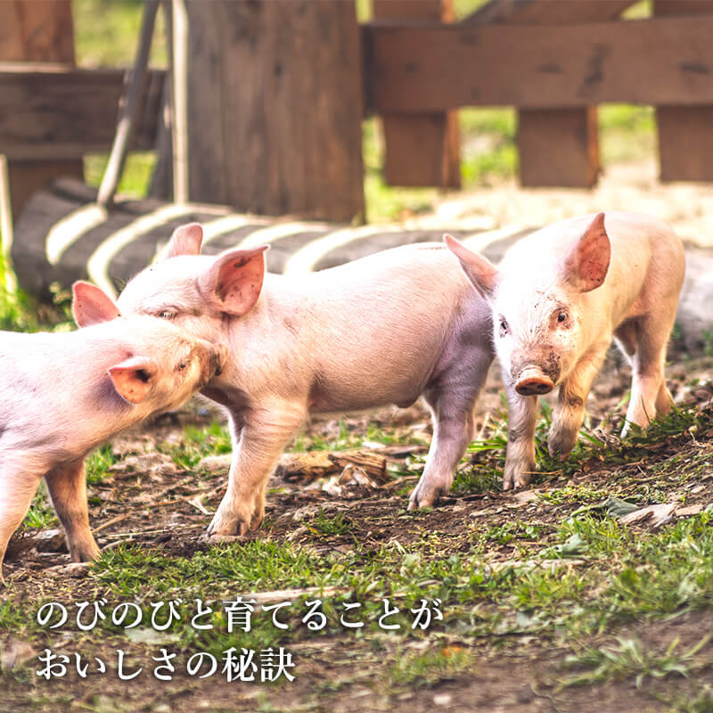 �������� ̣���ۥ���ڻ����ԻԾ��ʡ�