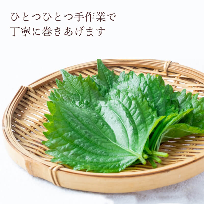 ����ߤ��äפ�Τ��դ����Τ���������S������(4������)