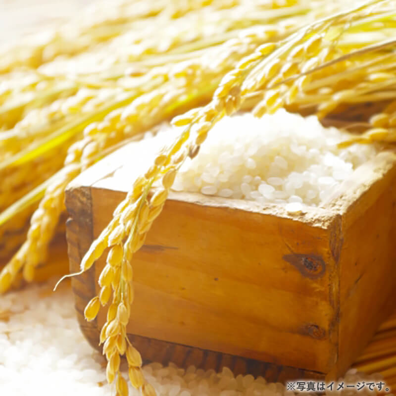 ���Դ�л��� �ҤȤ�ܤ� 5kg������7ǯ���ơ�