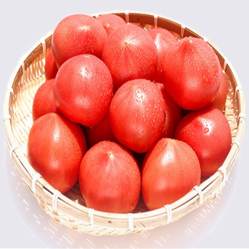 ǥꥷ㥹ȥޥȤΤȤޤȥ(25)