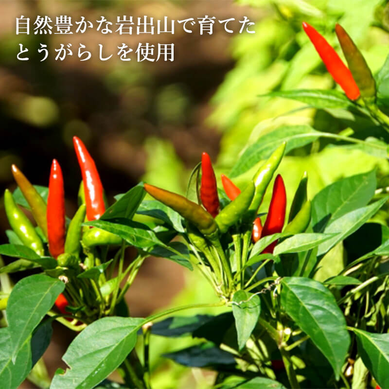 �ߤ��Τ� �Ƥ��Ȥ����餷 220g