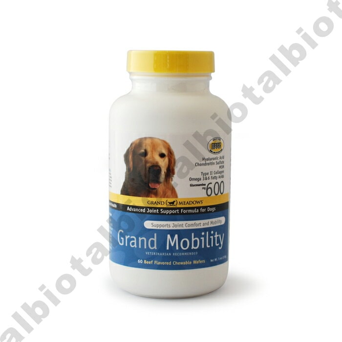 グランドモビリティ　ジョイントサポート　60粒