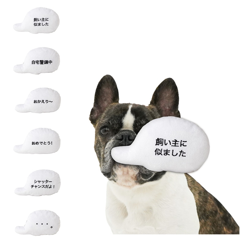【マンダリンブラザーズ】【犬のおもちゃ】 メッセージロープトイ