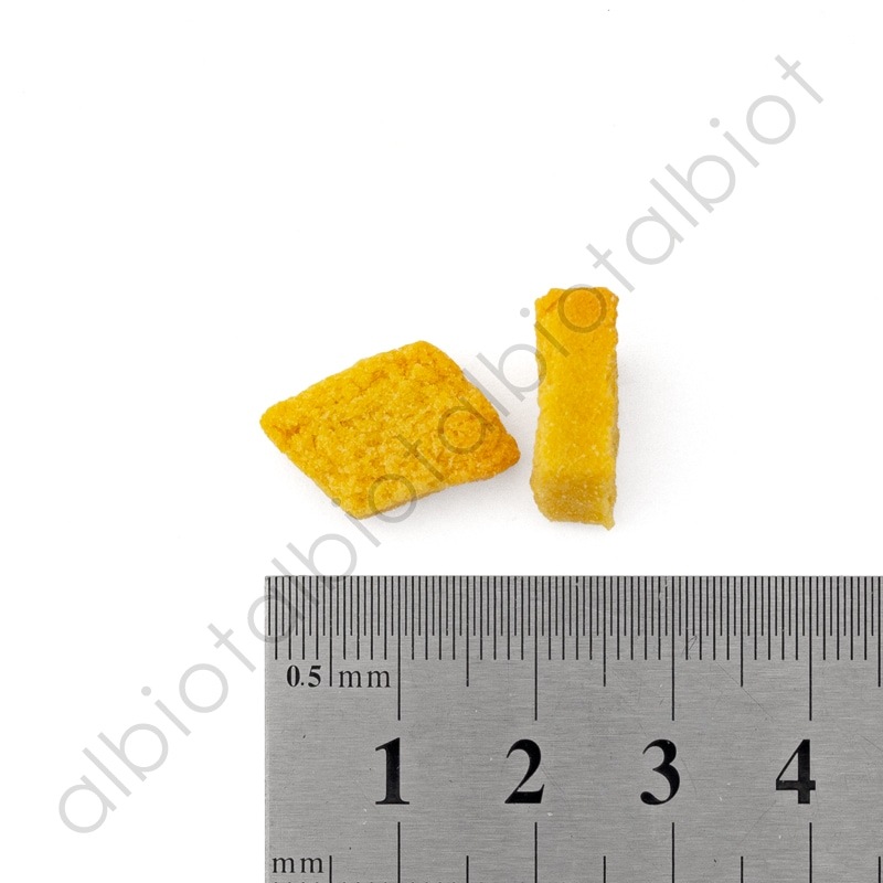 ナチュラルハーベスト 大地のベジビス パンプキン 45g