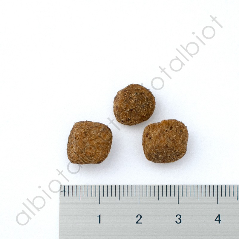 ナウフレッシュ グレインフリー アダルト 50g レギュラー粒 ドッグフード