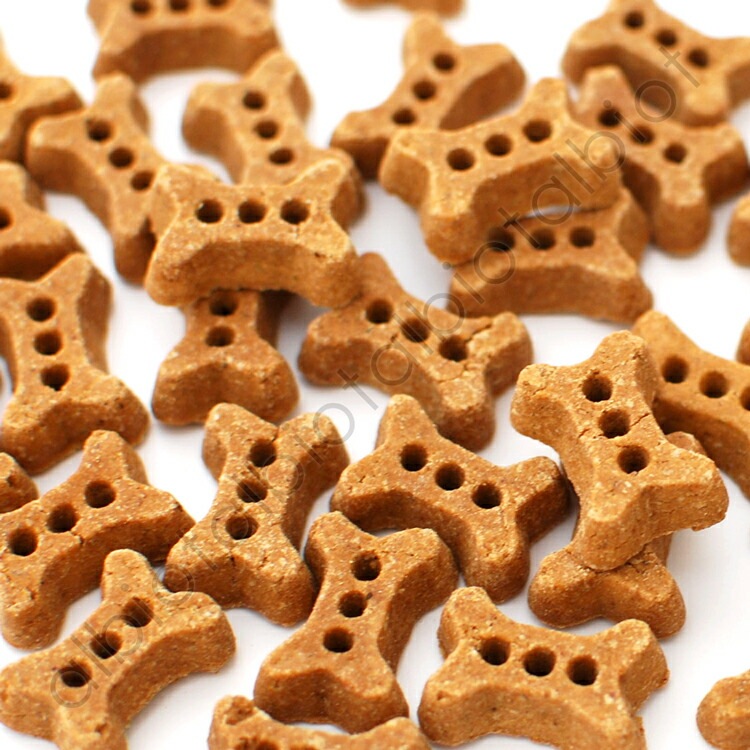 ナチュラルハーベスト プロバイオビスケット クランベリー 80g