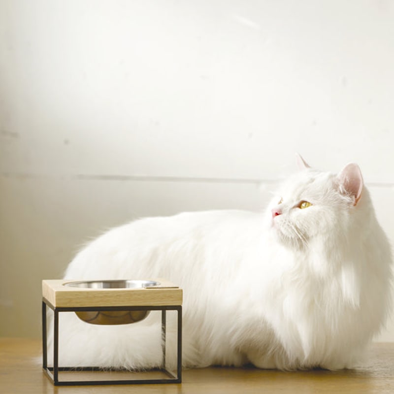 シングル・フードボウル モッドS ナチュラル (PTBA00101)