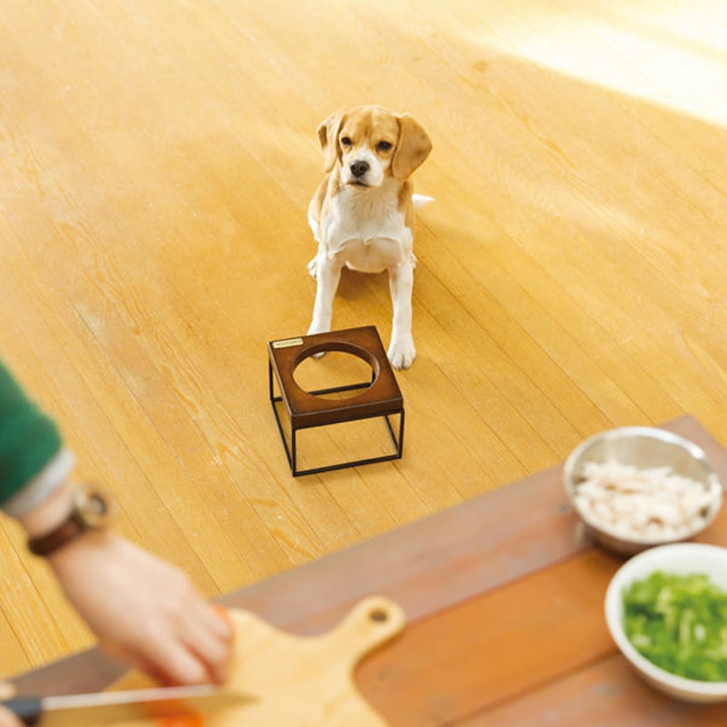 シングル・フードボウル モッドS ナチュラル (PTBA00101)