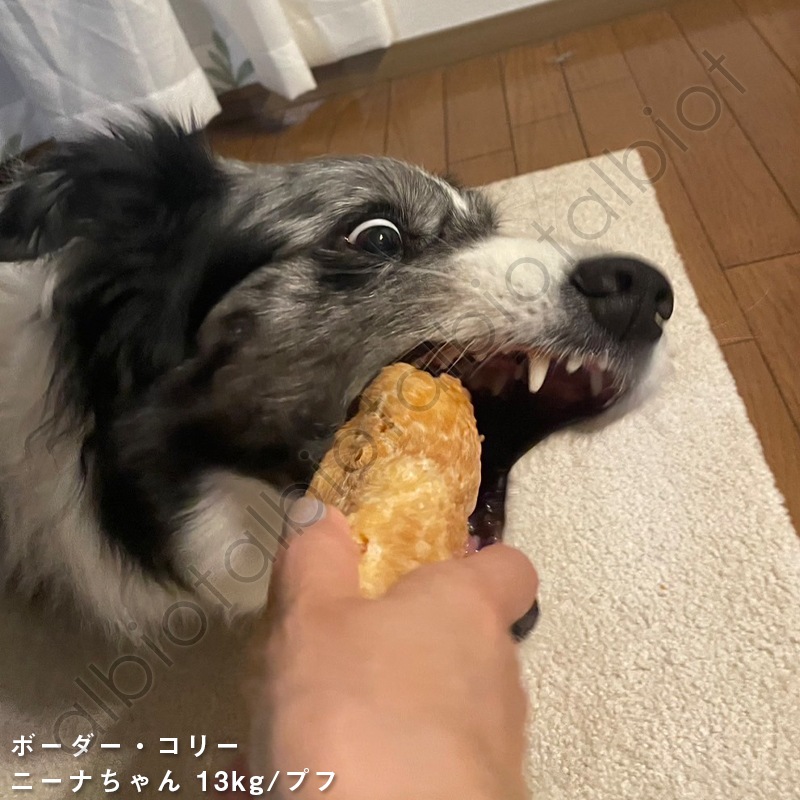 アルビオ ヤクチーズ プフ 50g