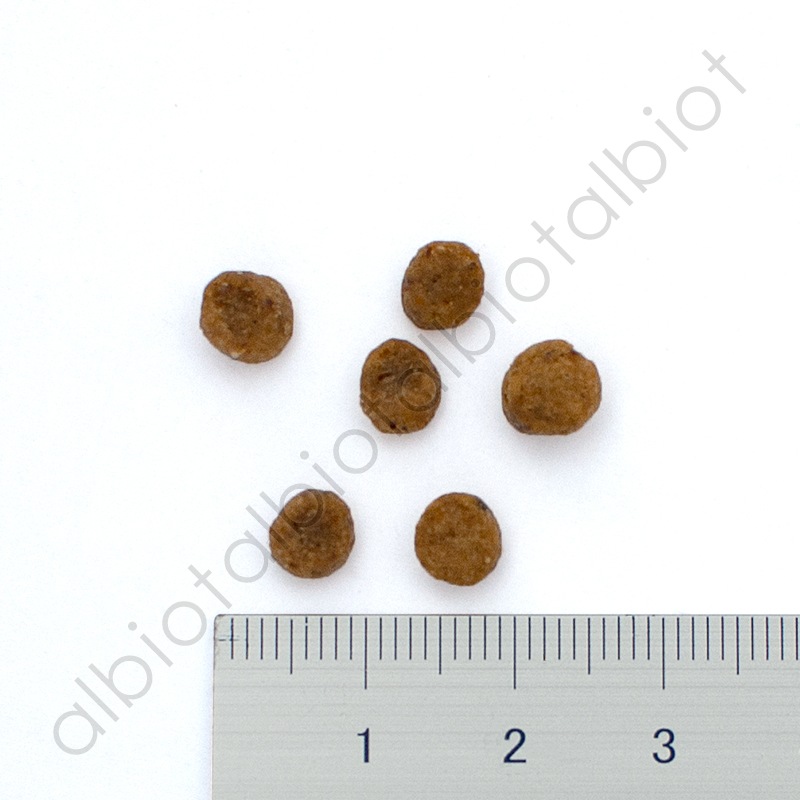 ナウフレッシュ グレインフリー スモールブリードパピー 50g 小粒 ドッグフード