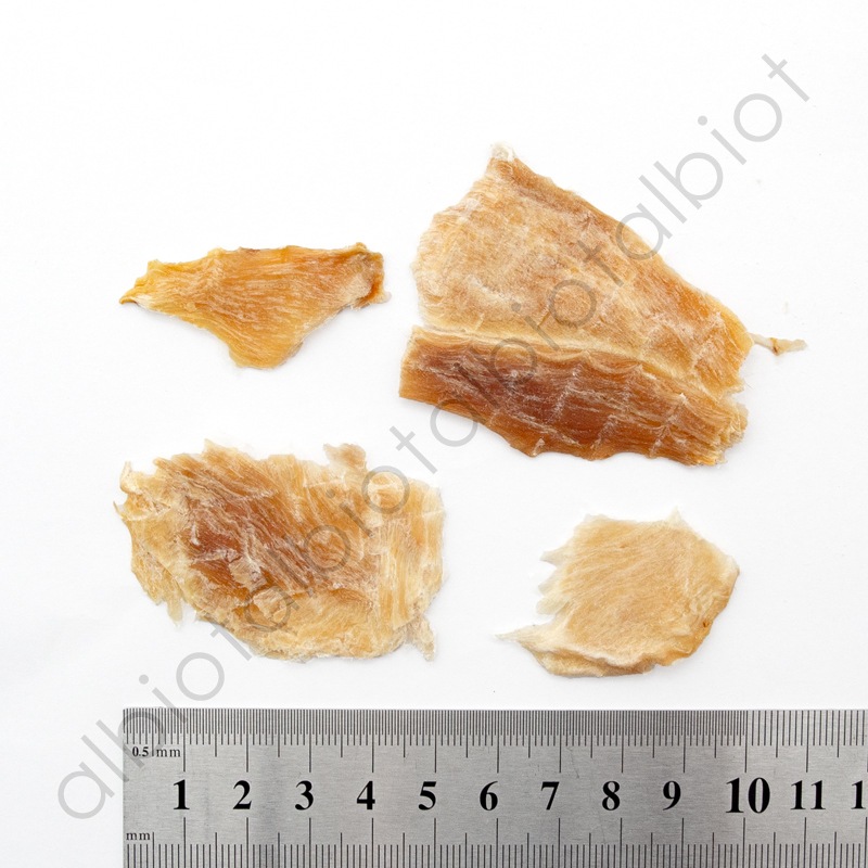 ROCOILE（ロコイル） ワニ肉ジャーキー 20g