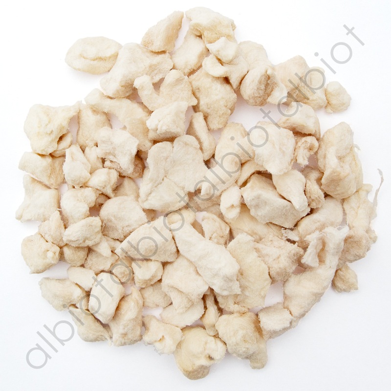 ROCOILE(ロコイル) ワニ肉フリーズドライ 40g