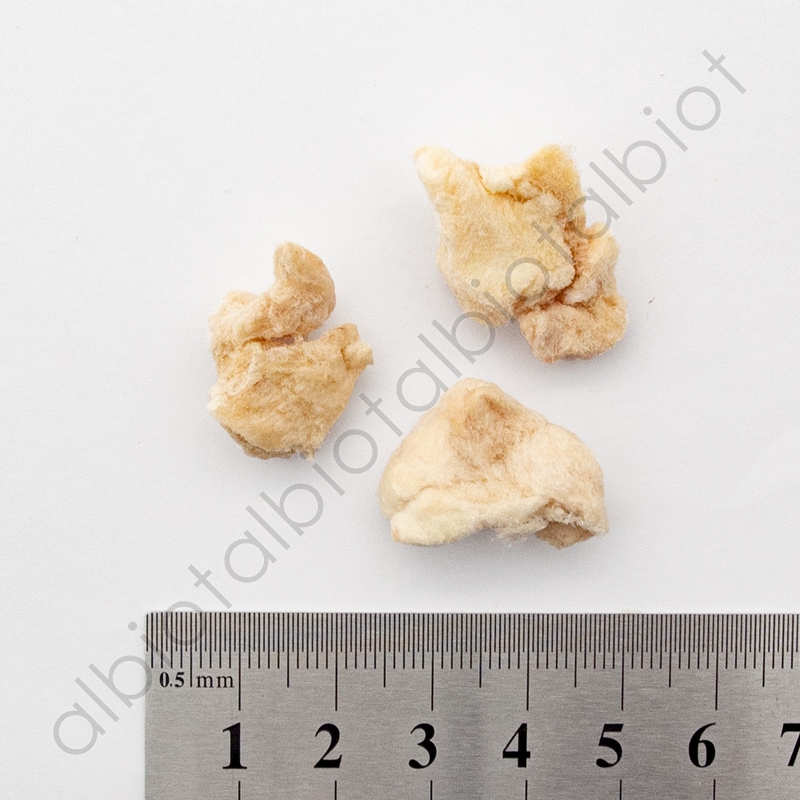 ROCOILE(ロコイル) ワニ肉フリーズドライ 40g