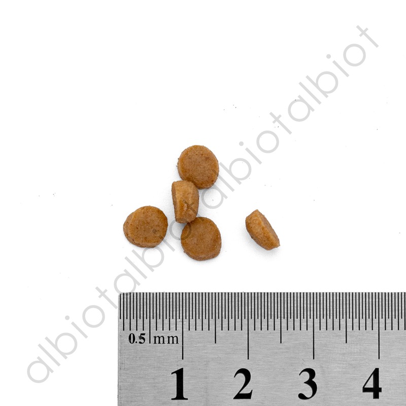 【30%OFF】カントリーロード お魚でつくった腎臓ケア【食事療法食】チキン&ポーク風味