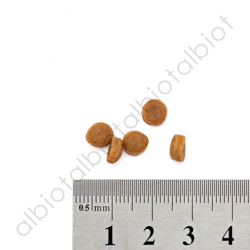 【30％OFF】カントリーロード お魚でつくった腎臓ケア【食事療法食】チキン＆和牛風味