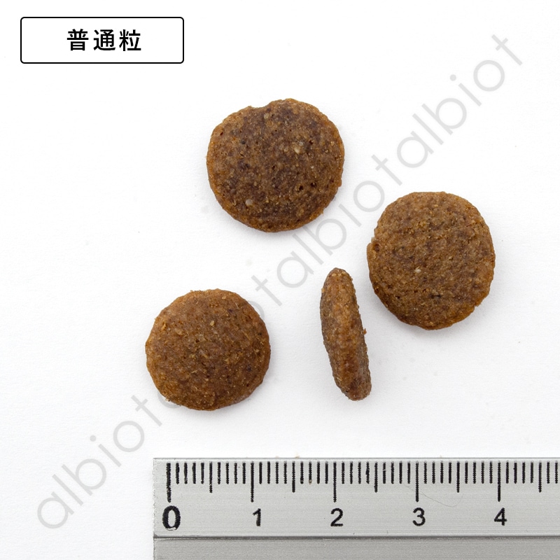 LUCY PET ルーシーペット サーモン・パンプキン＆キヌア ドライドッグフード 