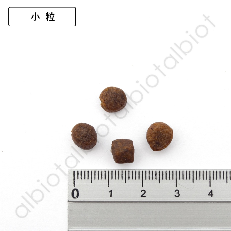 LUCY PET ルーシーペット サーモン・パンプキン＆キヌア ドライドッグフード 