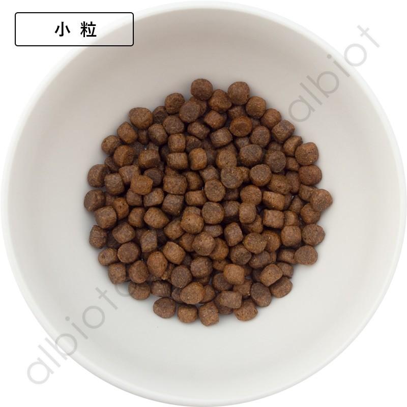 LUCY PET ルーシーペット サーモン・パンプキン＆キヌア ドライドッグフード 