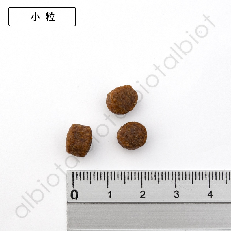 LUCY PET ルーシーペット ダック・パンプキン＆キヌア ドライドッグフード 