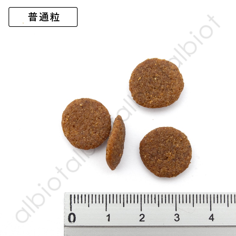 LUCY PET ルーシーペット ダック・パンプキン＆キヌア ドライドッグフード 