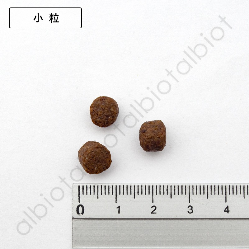 LUCY PET ルーシーペット ベニソンミール＆スウィートポテト ドライドッグフード 