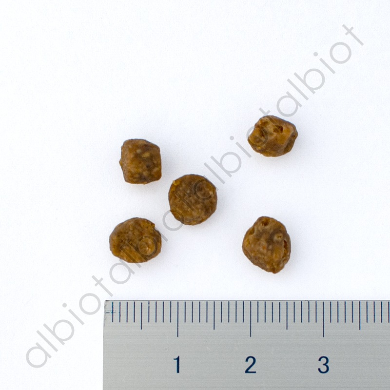 ナウフレッシュ グレインフリー アダルトキャット 50g