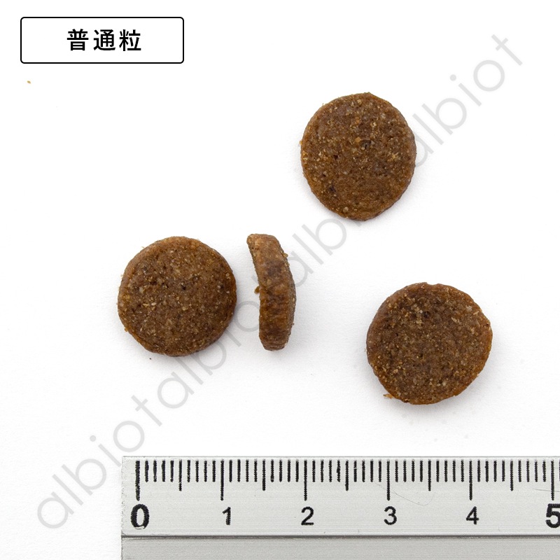 LUCY PET ルーシーペット チキン・ブラウンライス＆パンプキン ドライドッグフード 