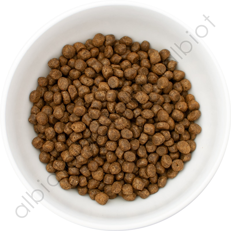 ナウフレッシュ グレインフリー フィッシュ アダルトキャット 50g