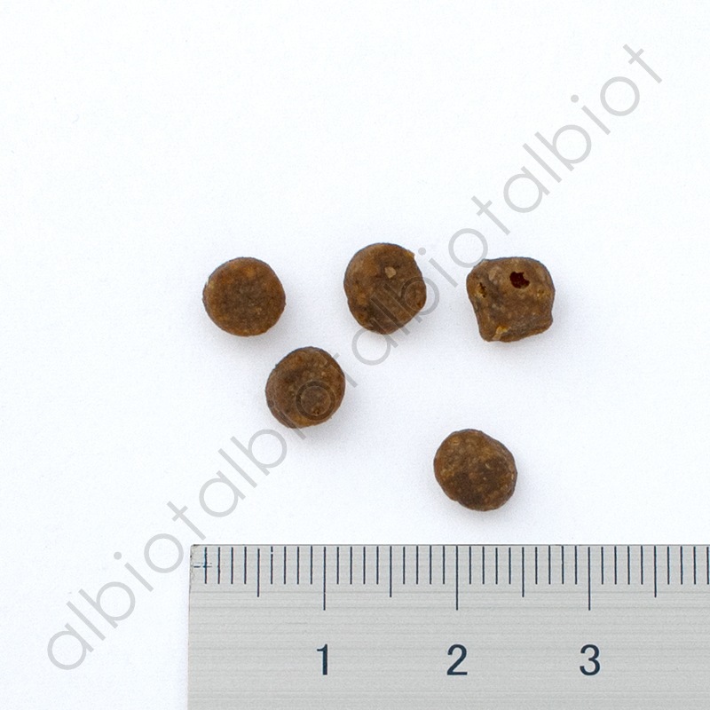 ナウフレッシュ グレインフリー フィッシュ アダルトキャット 50g