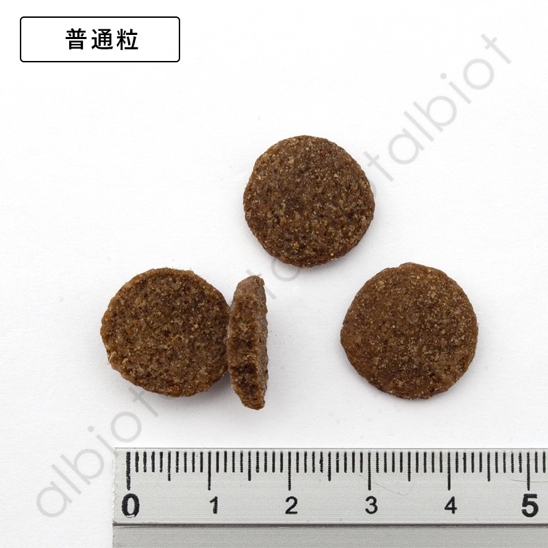 LUCY PET ルーシーペット スーパーフード ウルトラドッグ ドライフード