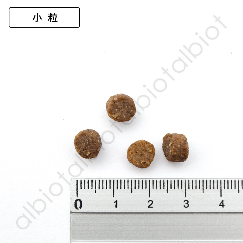 LUCY PET ルーシーペット スーパーフード ウルトラドッグ ドライフード