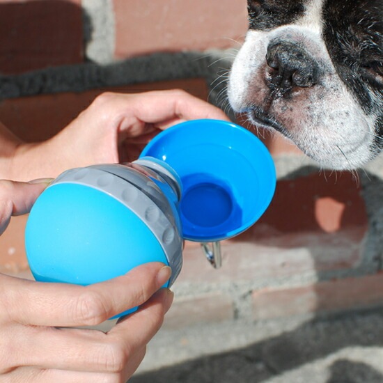 ハンディウォータラー　グリーン