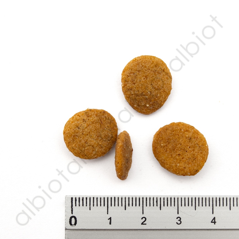 LUCY PET ルーシーペット ベジタリアンフォーミュラ ドライドッグフード