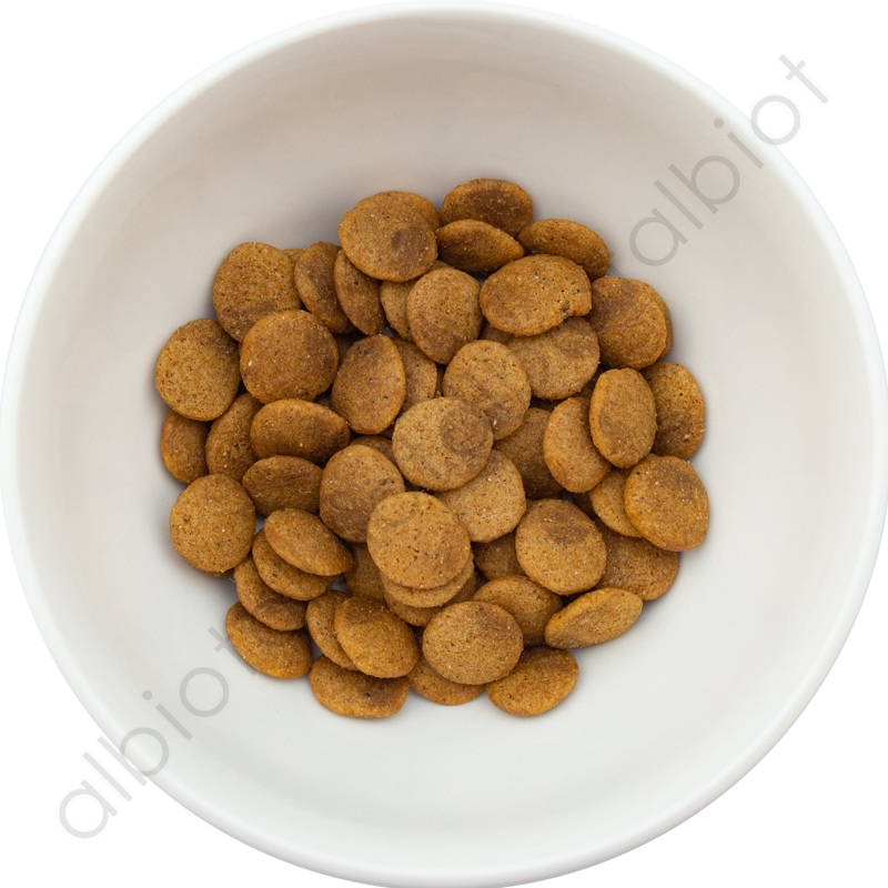 LUCY PET ルーシーペット ベジタリアンフォーミュラ ドライドッグフード