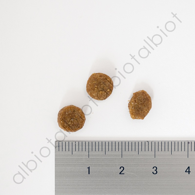 ブリスミックス ポーク 小粒 ドッグフード