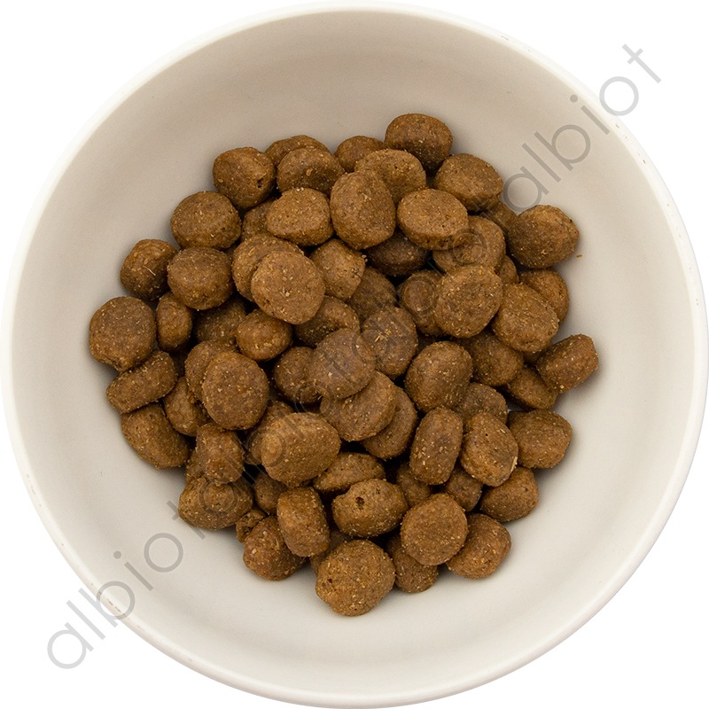 GO! ソリューションズ カーニボア アダルト チキンターキー＋ダック